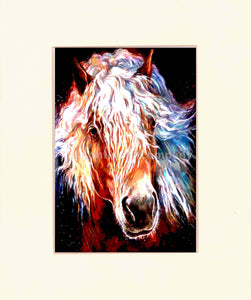 Horse at 7th-continent-company.com - 7 CONTINENT COMPANY Sp. z o.o.