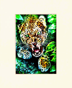 Jaguar at 7th-continent-company.com - 7 CONTINENT COMPANY Sp. z o.o.