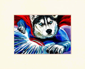 Superman at 7th-continent-company.com - 7 CONTINENT COMPANY Sp. z o.o.