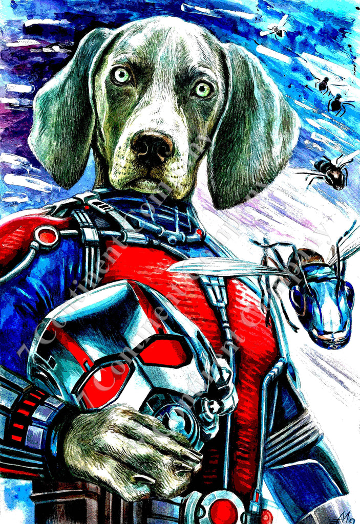 The Ant-Man Dog - Main Image