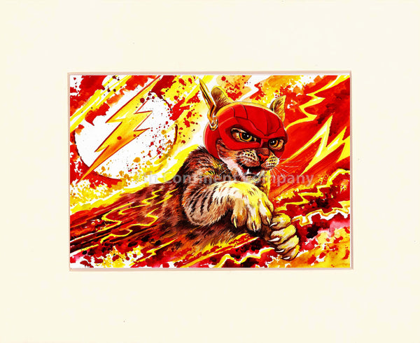The Flash Cat at 7th-continent-company.com - 7 CONTINENT COMPANY Sp. z o.o.