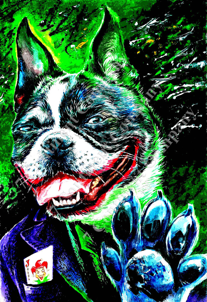 Joker Dog Cs