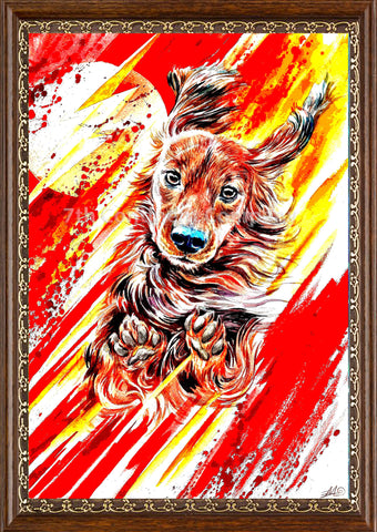 The Flash Dog at 7th-continent-company.com - 7 CONTINENT COMPANY Sp. z o.o.