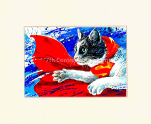 Superman Cat at 7th-continent-company.com - 7 CONTINENT COMPANY Sp. z o.o.