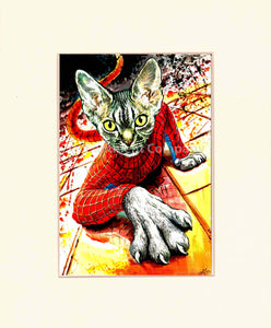 Spiderman Cat at 7th-continent-company.com - 7 CONTINENT COMPANY Sp. z o.o.