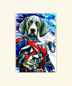 The Ant-Man Dog at 7th-continent-company.com - 7 CONTINENT COMPANY Sp. z o.o.