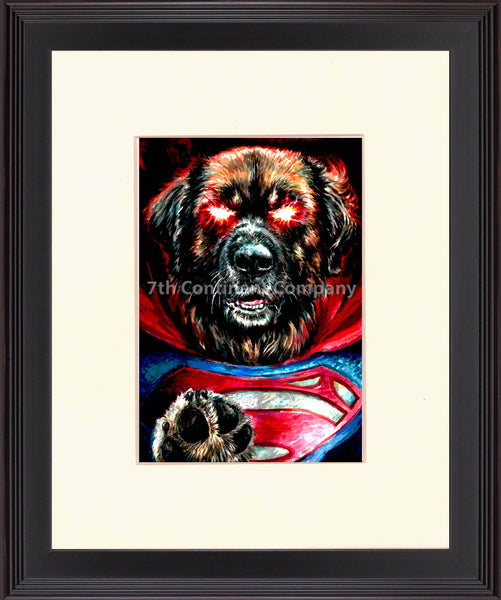 Superman Dog at 7th-continent-company.com - 7 CONTINENT COMPANY Sp. z o.o.