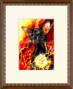 The Flash Cat Art at 7th-continent-company.com - 7 CONTINENT COMPANY Sp. z o.o.