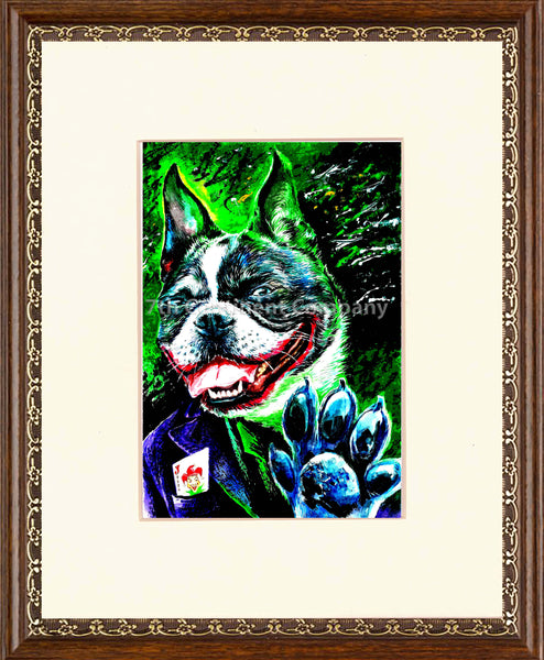Joker Dog at 7th-continent-company.com - 7 CONTINENT COMPANY Sp. z o.o.