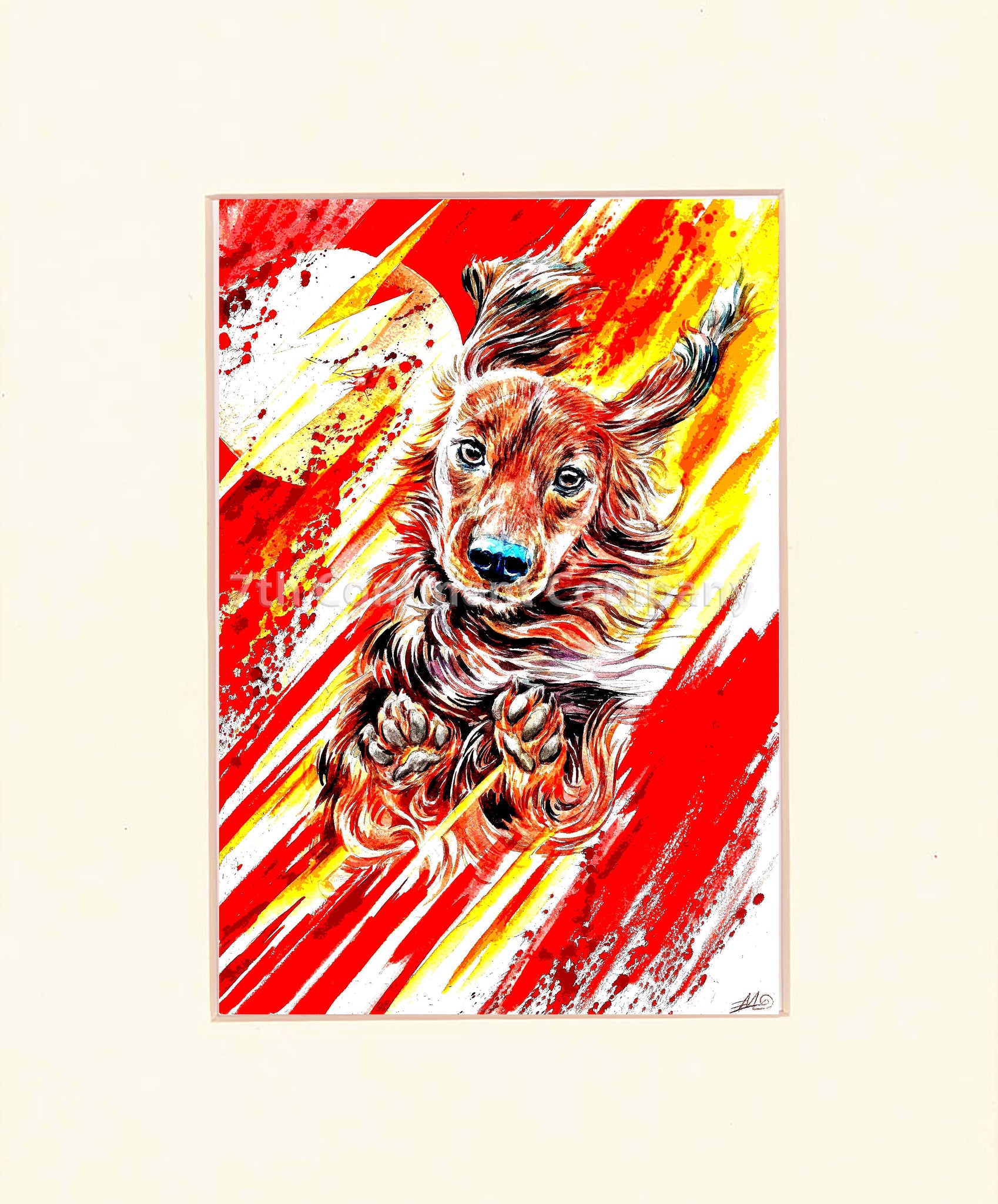 The Flash Dog at 7th-continent-company.com - 7 CONTINENT COMPANY Sp. z o.o.