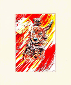The Flash Dog at 7th-continent-company.com - 7 CONTINENT COMPANY Sp. z o.o.