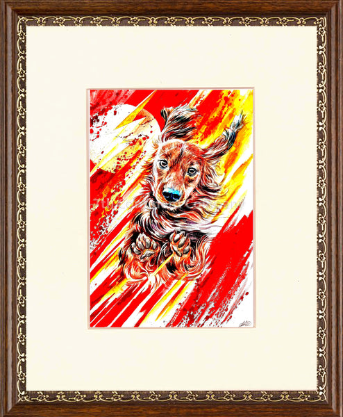 The Flash Dog at 7th-continent-company.com - 7 CONTINENT COMPANY Sp. z o.o.