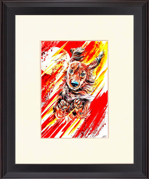 The Flash Dog at 7th-continent-company.com - 7 CONTINENT COMPANY Sp. z o.o.