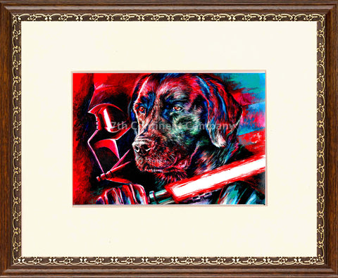 Star Wars. Darth Vader at 7th-continent-company.com - 7 CONTINENT COMPANY Sp. z o.o.