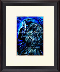 Darth Vader. Star Wars at 7th-continent-company.com - 7 CONTINENT COMPANY Sp. z o.o.
