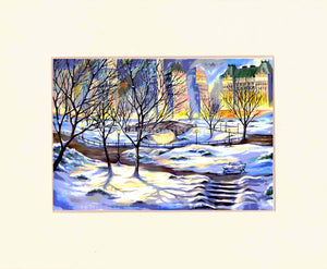 Central Park in Winter at 7th-continent-company.com - 7 CONTINENT COMPANY Sp. z o.o.