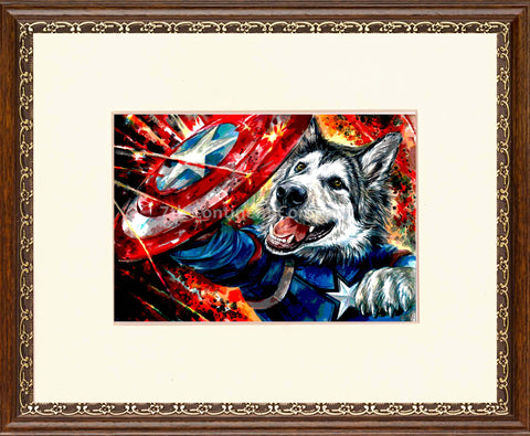Captain America. Husky at 7th-continent-company.com - 7 CONTINENT COMPANY Sp. z o.o.