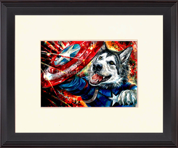 Captain America. Husky at 7th-continent-company.com - 7 CONTINENT COMPANY Sp. z o.o.