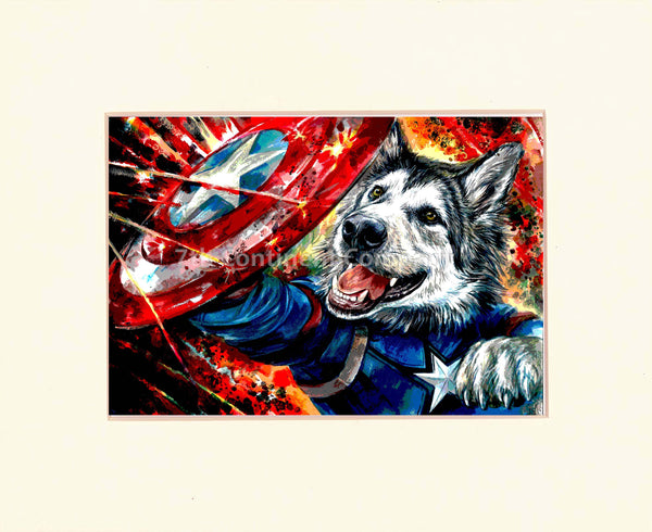 Captain America. Husky at 7th-continent-company.com - 7 CONTINENT COMPANY Sp. z o.o.