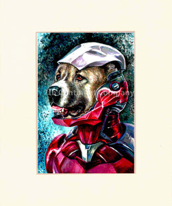 Iron Man. Superhero at 7th-continent-company.com - 7 CONTINENT COMPANY Sp. z o.o.