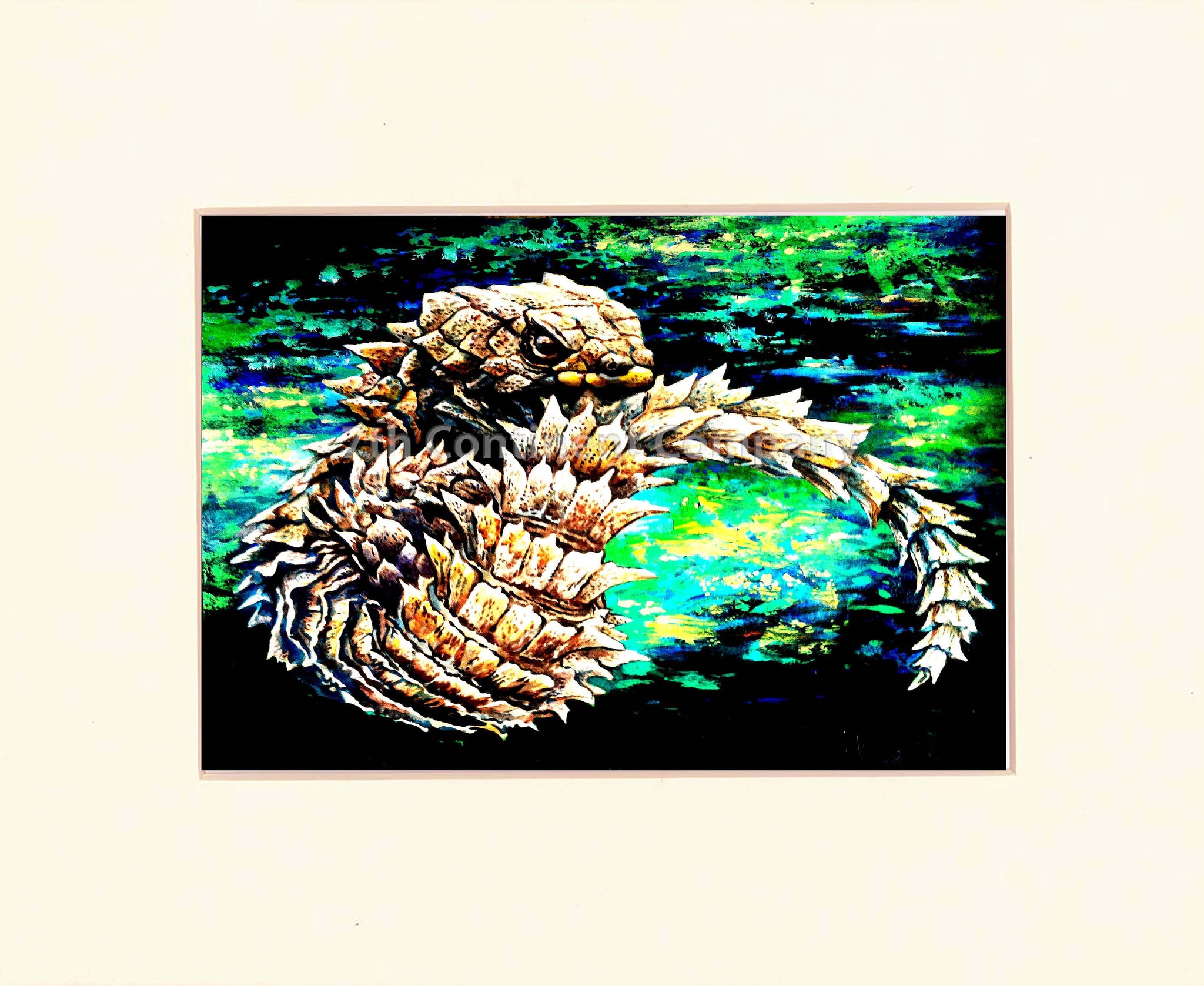 Cordylidae at 7th-continent-company.com - 7 CONTINENT COMPANY Sp. z o.o.