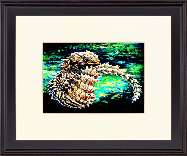 Cordylidae at 7th-continent-company.com - 7 CONTINENT COMPANY Sp. z o.o.