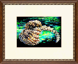 Cordylidae at 7th-continent-company.com - 7 CONTINENT COMPANY Sp. z o.o.