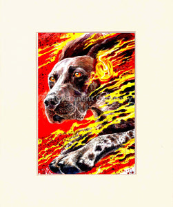 Flash Art at 7th-continent-company.com - 7 CONTINENT COMPANY Sp. z o.o.