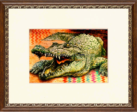 Crocodile at 7th-continent-company.com - 7 CONTINENT COMPANY Sp. z o.o.