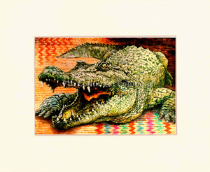 Crocodile at 7th-continent-company.com - 7 CONTINENT COMPANY Sp. z o.o.
